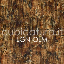 LGN-OLM